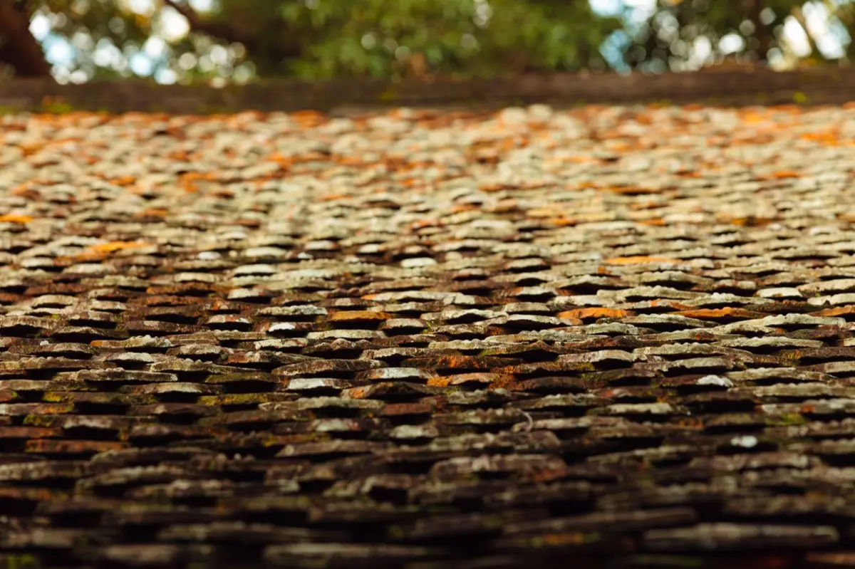 Aging shingle roof with moss growth and granule loss in Cedar City, UT